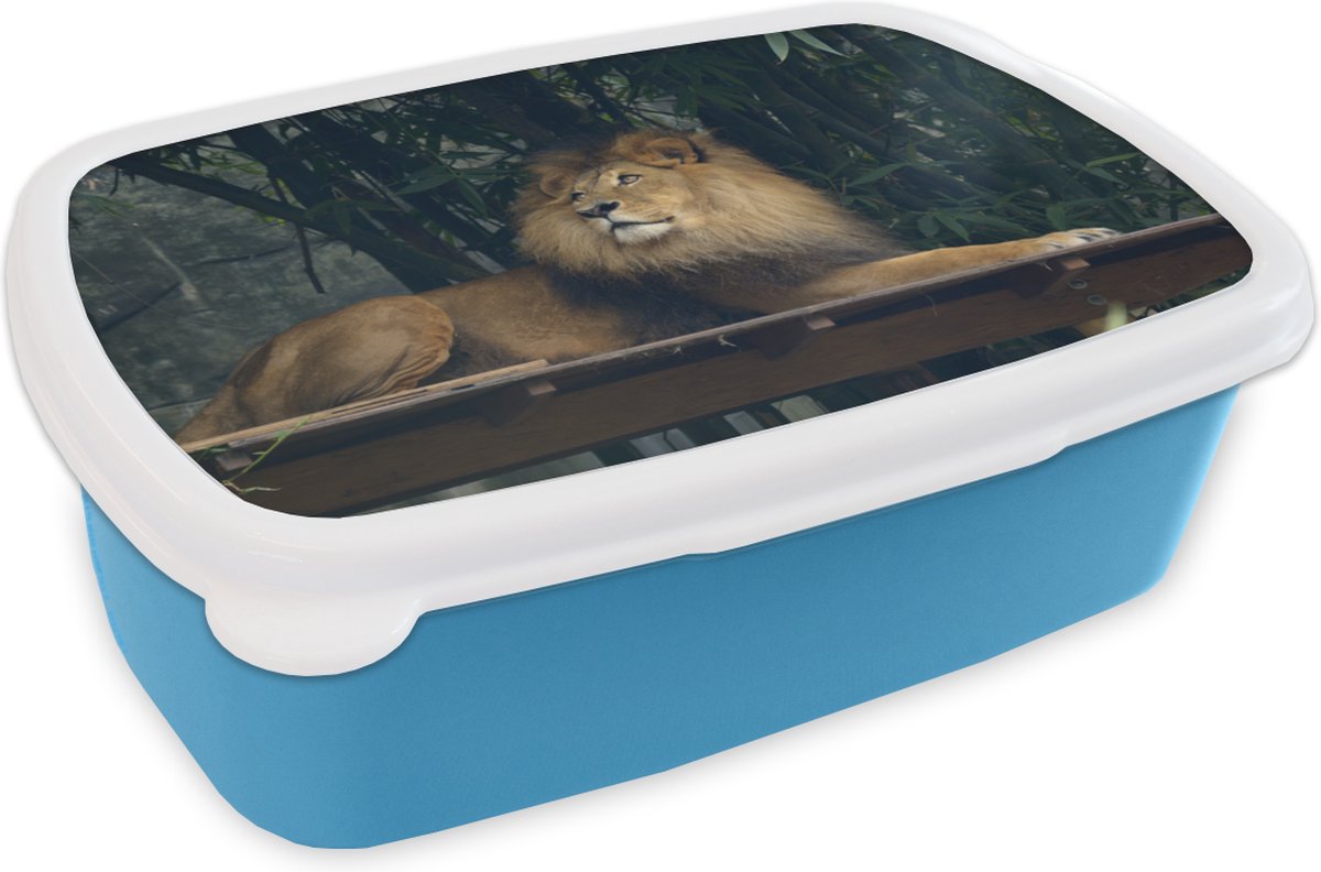 Broodtrommel Blauw - Lunchbox - Brooddoos - Leeuw - Bos - Wild - 18x12x6 cm - Kinderen - Jongen
