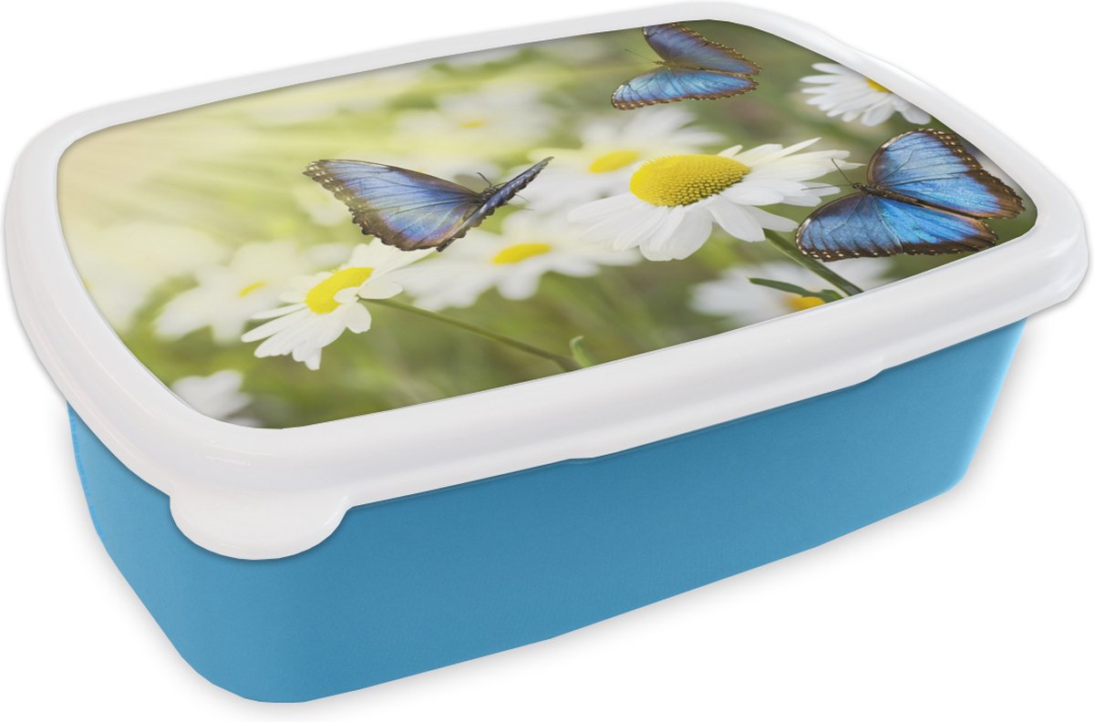 Broodtrommel Blauw - Lunchbox - Brooddoos - Bloemen - Vlinders - Zomer - 18x12x6 cm - Kinderen - Jongen