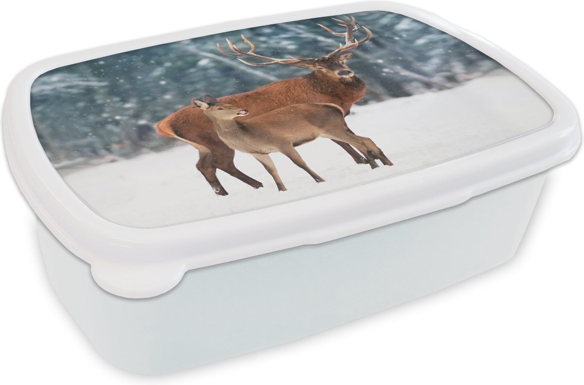 Broodtrommel Wit - Lunchbox - Brooddoos - Hert - Bos - Sneeuw - 18x12x6 cm - Volwassenen