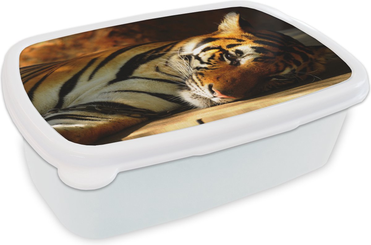 Broodtrommel Wit - Lunchbox - Brooddoos - Tijger - Dieren - Rusten - 18x12x6 cm - Volwassenen