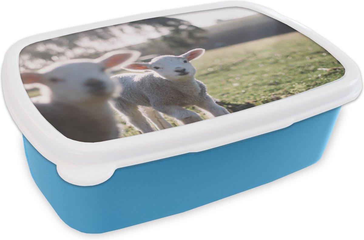 Broodtrommel Blauw - Lunchbox - Brooddoos - Dieren - Schaap - Lam - 18x12x6 cm - Kinderen - Jongen