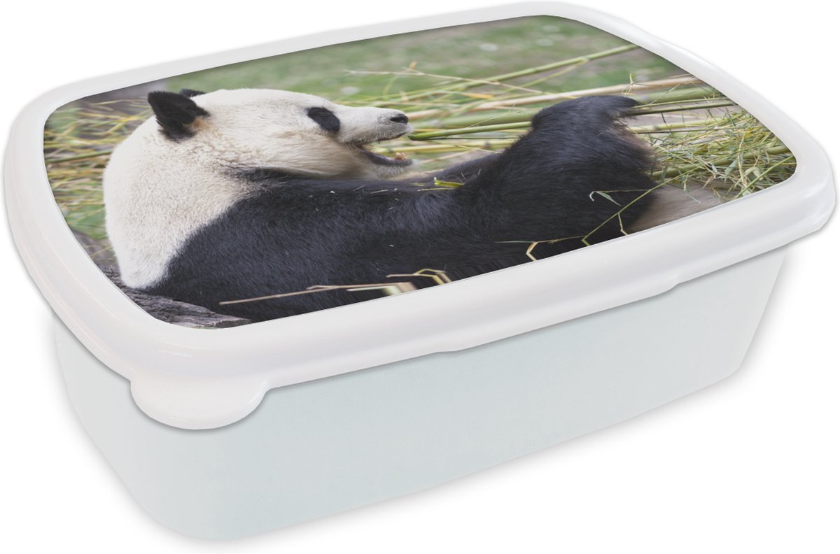Broodtrommel Wit - Lunchbox - Brooddoos - Pandabeer - Dieren - Bamboe - 18x12x6 cm - Volwassenen