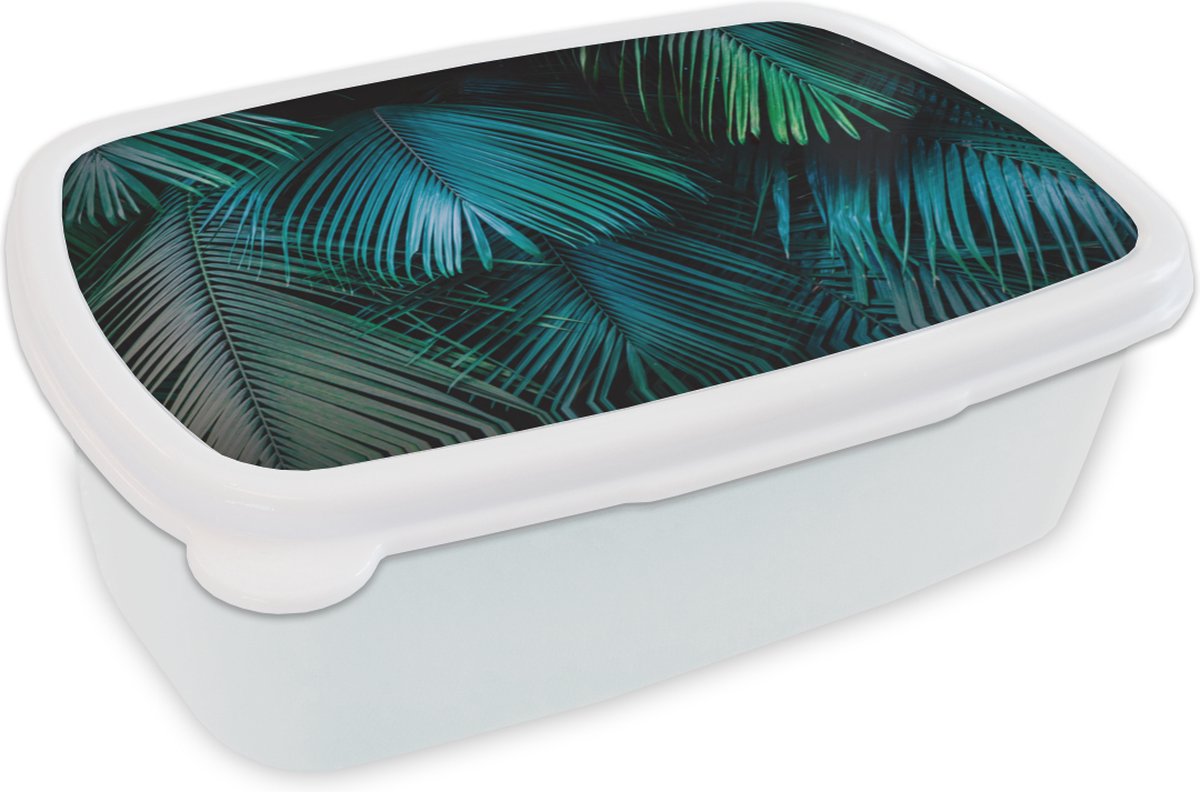 Broodtrommel Wit - Lunchbox - Brooddoos - Jungle - Bladeren - Groen - Blauw - 18x12x6 cm - Volwassenen