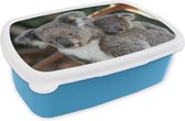 Broodtrommel Blauw - Lunchbox - Brooddoos - Koala's - Vader - Kind - Kinderen - Jongens - Meisjes - 18x12x6 cm - Kinderen - Jongen