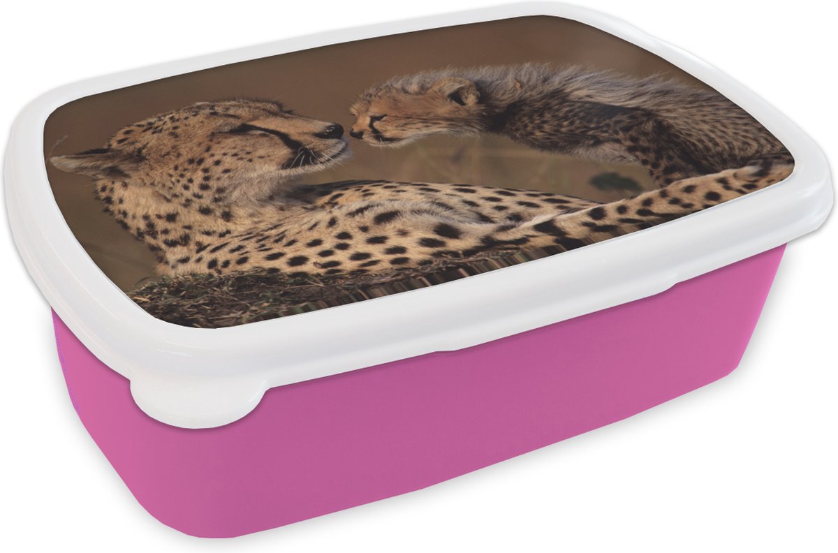 Broodtrommel Roze - Lunchbox - Brooddoos - Cheeta moeder en welp - 18x12x6 cm - Kinderen - Meisje
