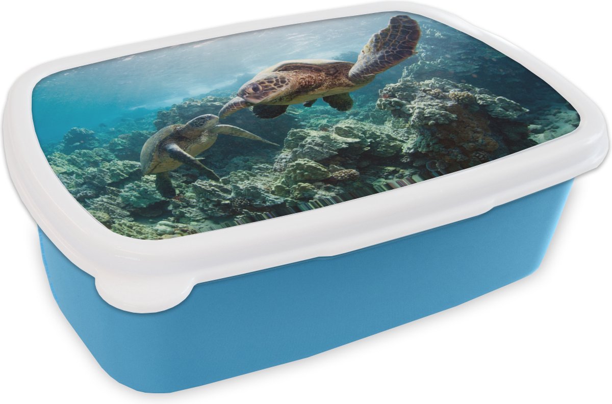 Broodtrommel Blauw - Lunchbox - Brooddoos - Twee zeeschildpadden - 18x12x6 cm - Kinderen - Jongen