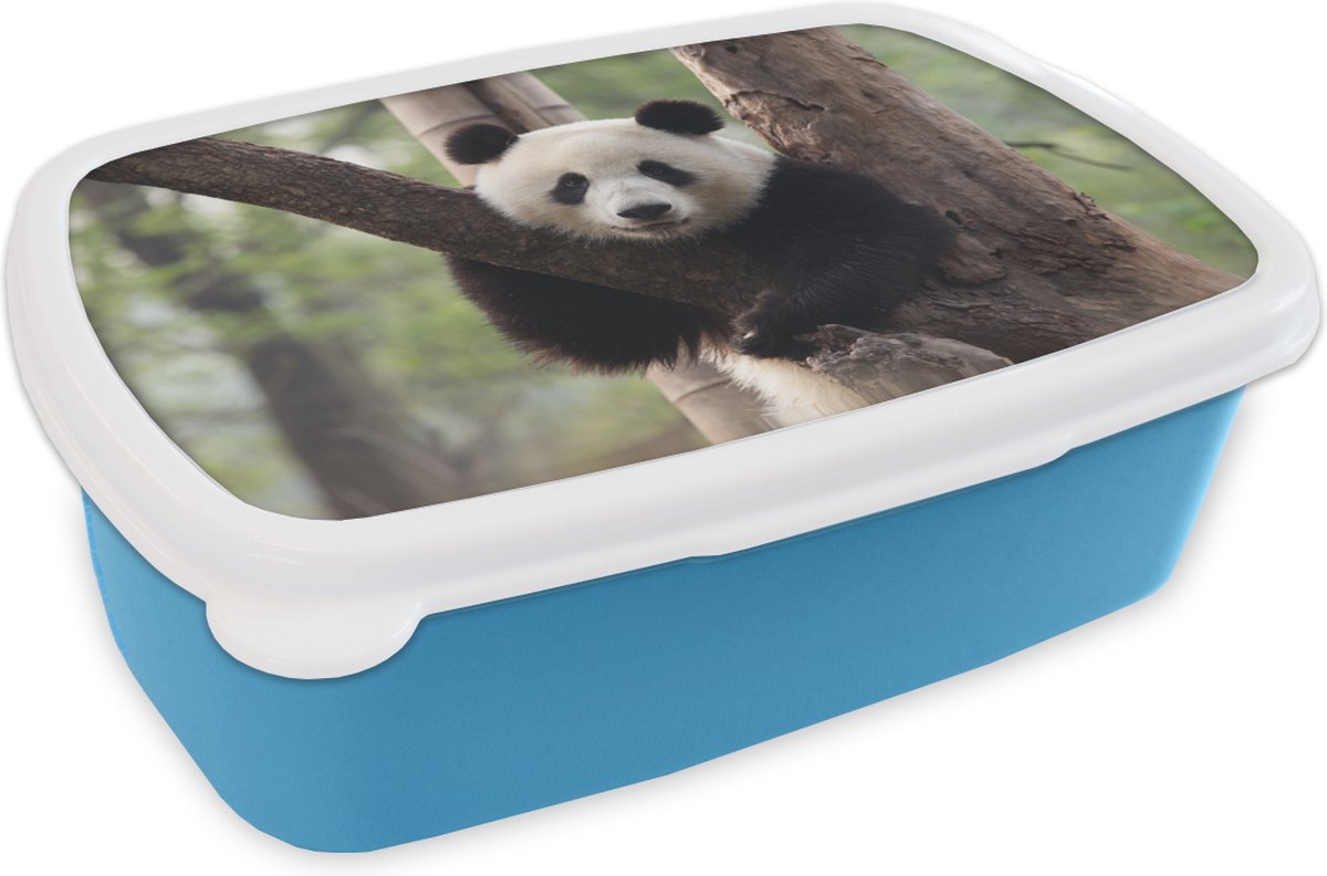 Broodtrommel Blauw - Lunchbox - Brooddoos - Panda - Boom - Bos - 18x12x6 cm - Kinderen - Jongen