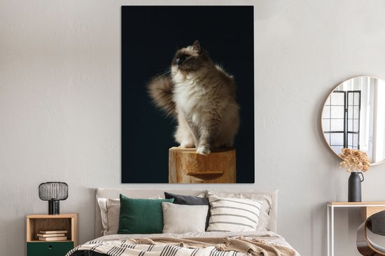 Un chat Ragdoll assis sur un poteau Toile 120x160 cm - Tirage photo sur Toile (Décoration murale salon / chambre) / Animaux domestiques Toiles Peintures XXL / Groot format!