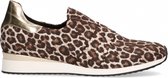 Van Dalen  - Heleonor Instapper Stretch - Leopard - 38