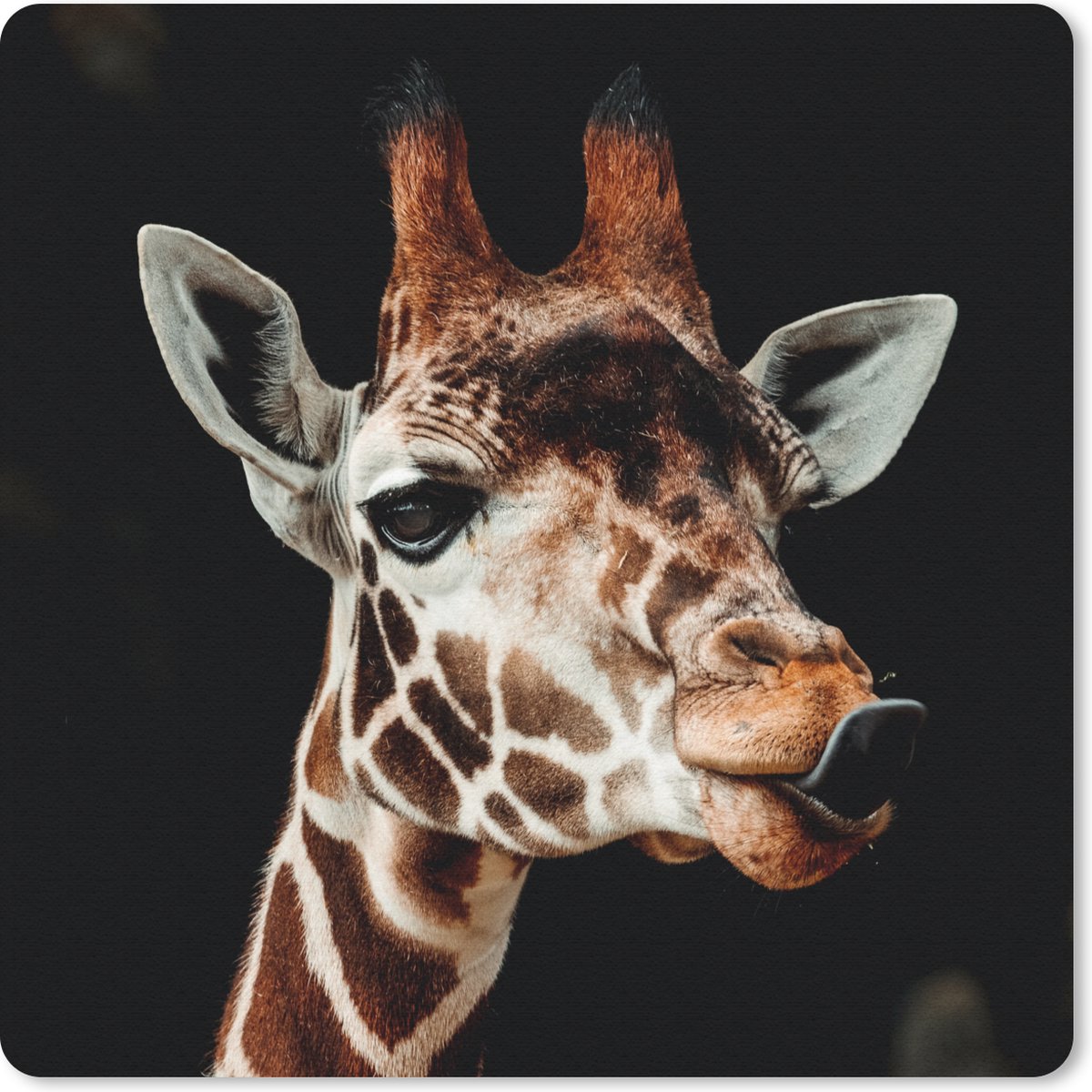Muismat 20x20 cm - Mousepad Giraffe - Dieren - Zwart - Muismatten