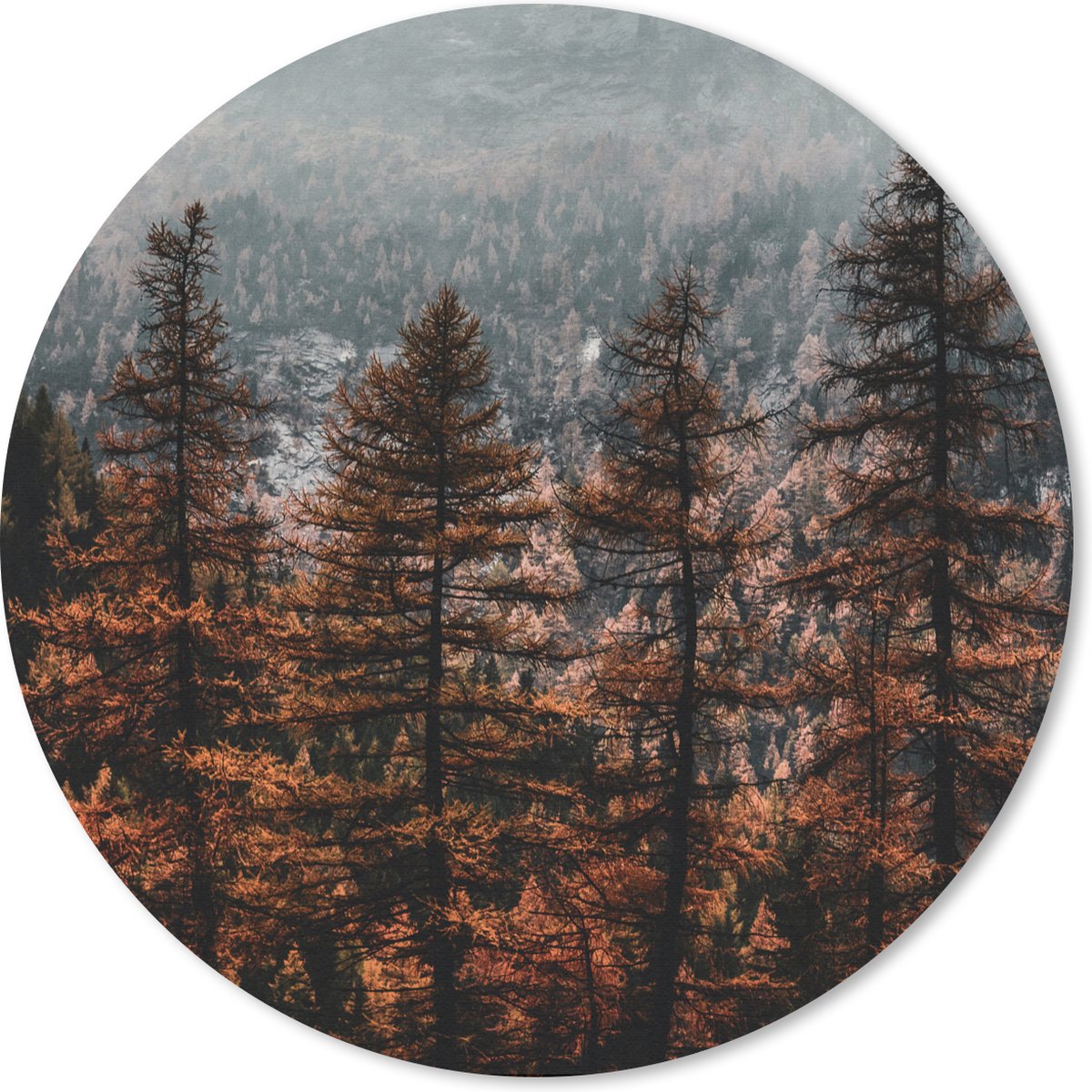 Muismat rond 30x30 cm - Mousepad Bomen - Mist - Winter - Ronde muismatten