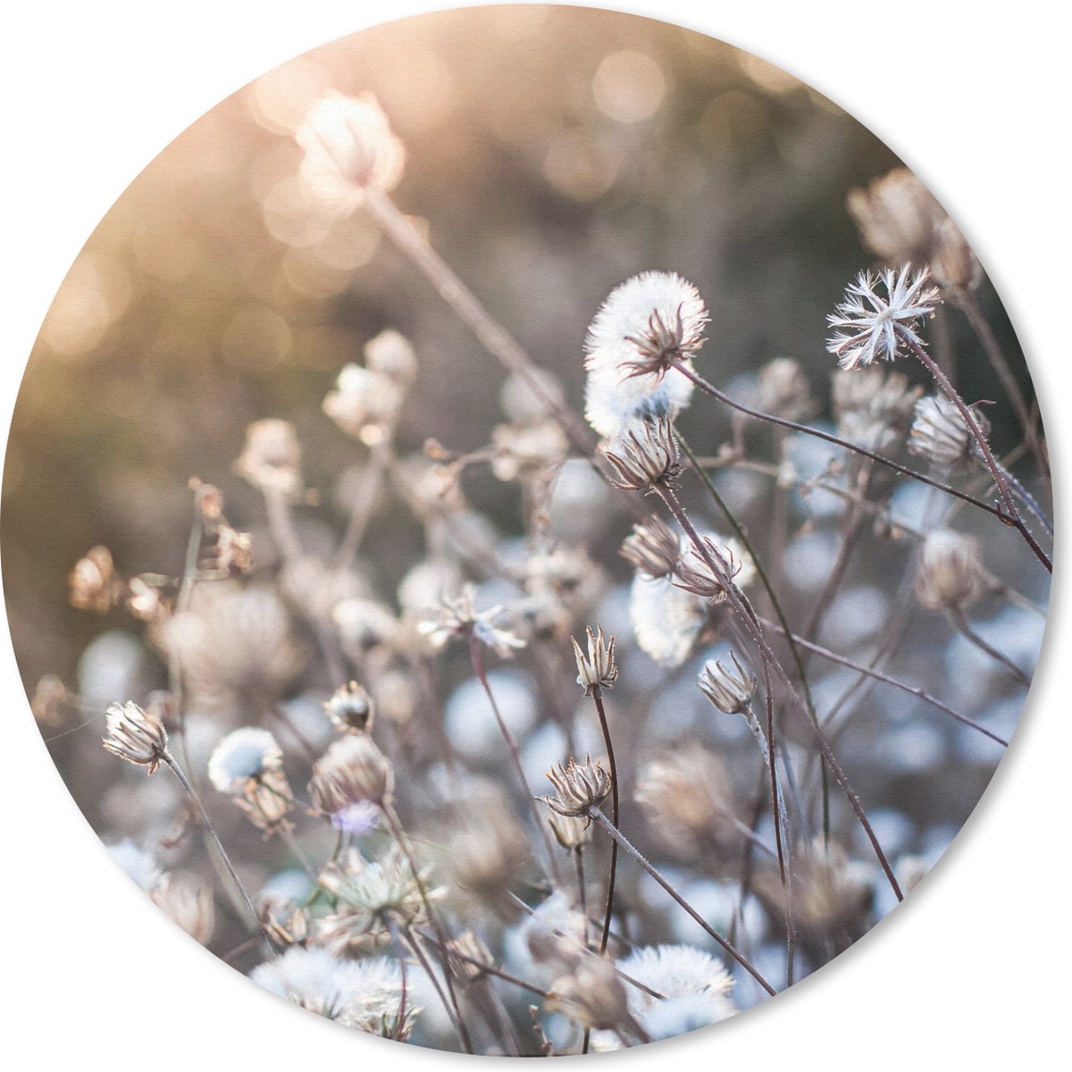 Muismat rond 30x30 cm - Mousepad Bloemen - Zon - Sepia - Ronde muismatten