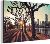 Wanddecoratie Metaal - Aluminium Schilderij Industrieel - Zonsondergang tussen de bomen in Frankfurt am Main - 60x40 cm - Dibond - Foto op aluminium - Industriële muurdecoratie - Voor de woonkamer/slaapkamer