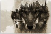 Trend24 - Canvas Schilderij - Wolf Op Een Bos Achtergrond - Bruin - Schilderijen - Dieren - 60x40x2 cm - Bruin
