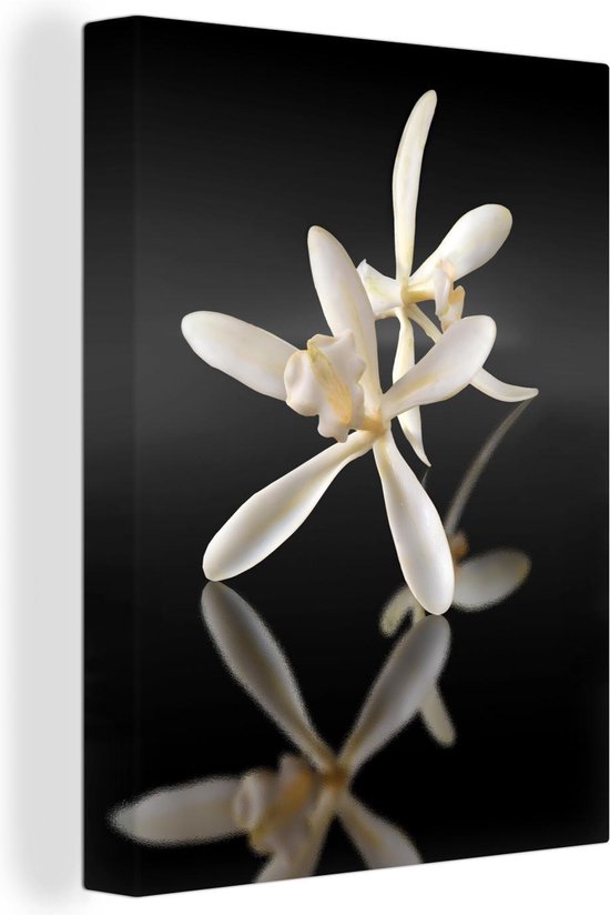 Canvas Schilderij Vanille bloemen in volle glorie op een zwarte achtergrond - 30x40 cm - Wanddecoratie