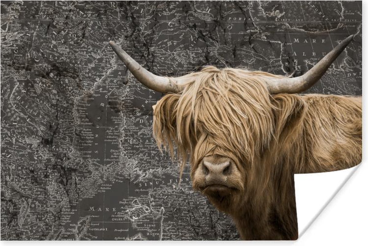 Poster Schotse hooglander - Wereldkaart - Koe - 30x20 cm