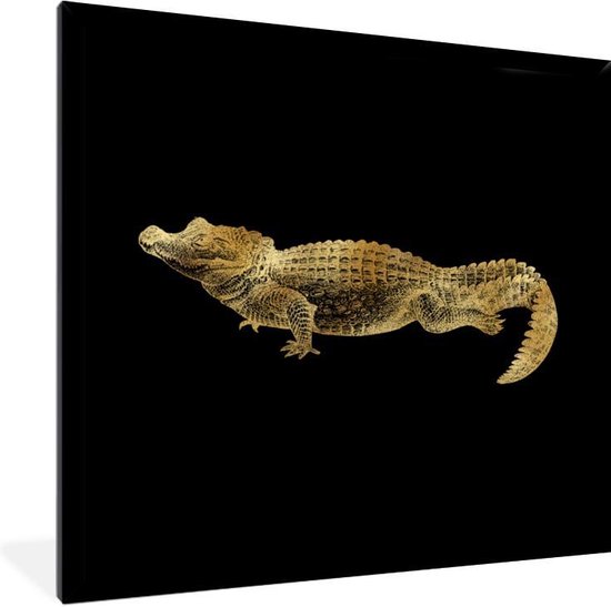 Fotolijst incl. Poster - Vintage - Design - Krokodil - Goud - 40x40 cm - Posterlijst