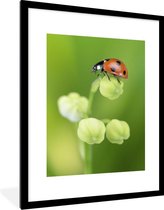 Fotolijst incl. Poster - Lente lieveheersbeestje - 60x80 cm - Posterlijst