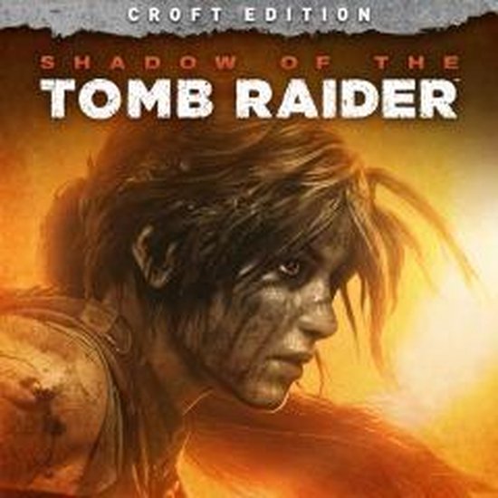 Buy PS4 Game (Rise of Tomb Raider) Online - Croma