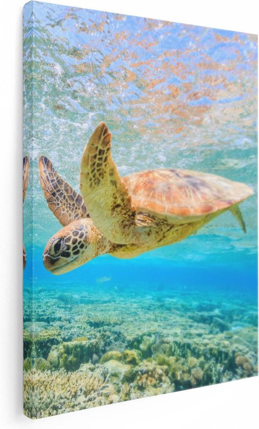Artaza - Peinture sur toile - Tortue nage dans la mer au récif - 30 x 40 - Klein - Photo sur toile - Impression sur toile