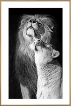 JUNIQE - Poster met kunststof lijst Verliefde leeuwen - zwart-wit foto