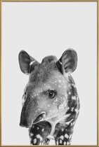 JUNIQE - Poster met kunststof lijst Tapir Classic -40x60 /Wit & Zwart