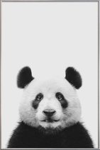 JUNIQE - Poster met kunststof lijst Panda II -20x30 /Wit & Zwart