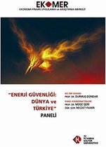 Enerji Güvenliği: Dünya ve Türkiye Paneli 2010