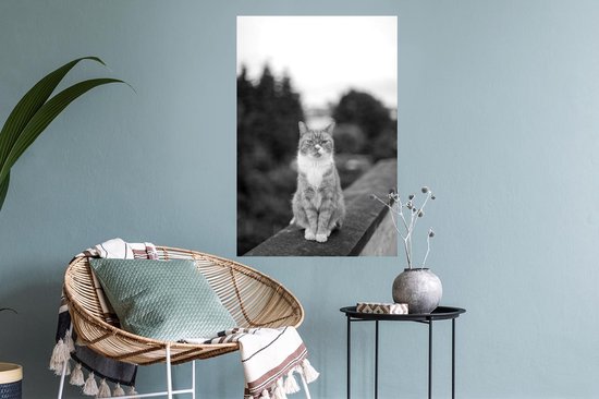 Stickers muraux - Film autocollant - Chat - Balcon - Forêt - Filles - Enfants - Garçons - Kids - 40x60 cm - Film adhésif - Stickers muraux Chambre d'enfant - Papier peint autocollant