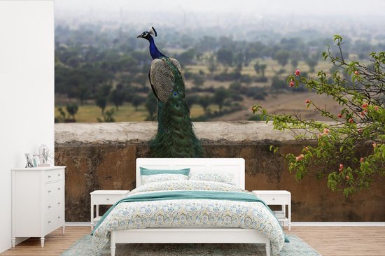 Papier peint photo en vinyle - Un paon vert face à la nature depuis un mur de pierre largeur 600 cm x hauteur 400 cm - Tirage photo sur papier peint (disponible en 7 tailles)