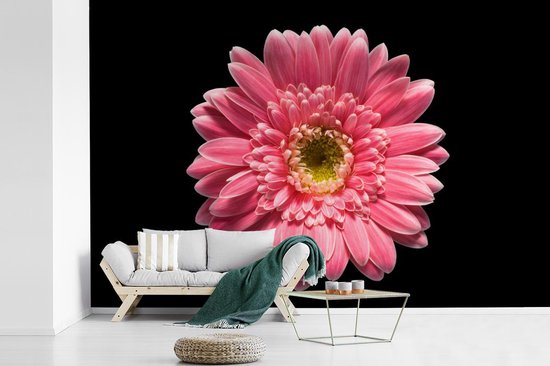 Papier peint Papier peint photo en vinyle - Fleur rose sur fond noir largeur 420 cm x hauteur 280 cm - Tirage photo sur papier peint (disponible en 7 tailles)