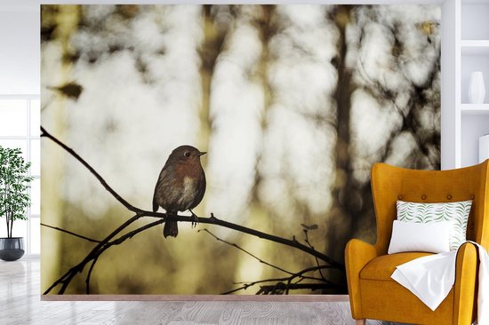 Robin sur une branche dans la nature 385x280 cm