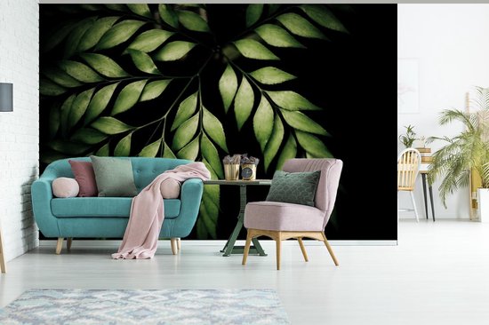 Papier peint photo vinyle - Les branches d'une fougère sur fond noir largeur 330 cm x hauteur 220 cm - Tirage photo sur papier peint (disponible en 7 tailles)