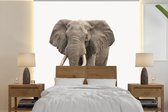 Behang kinderkamer - Fotobehang Olifant - Kinderen - Jongens - Dieren - Meisjes - Breedte 260 cm x hoogte 260 cm - Kinderbehang