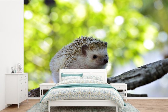 Papier peint photo peint photo vinyle - Petit hérisson en arbre largeur 390 cm x hauteur 260 cm - Tirage photo sur papier peint (disponible en 7 tailles)