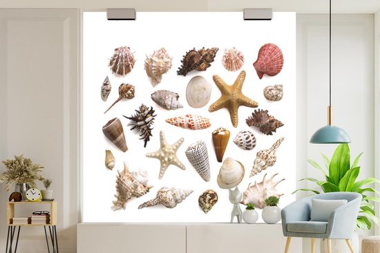 Sélection de coquillages et de fotobehang étoiles de mer