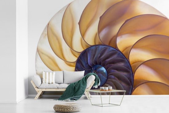 Coupe transversale de la fotobehang de coquille de nautile