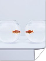 Affiche Goldfish - Bocaux à poissons - Wit - 90x120 cm