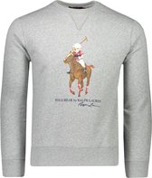 Polo Ralph Lauren  Sweater Grijs Aansluitend - Maat XS - Heren - Herfst/Winter Collectie - Katoen;Polyester