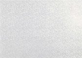 parelmoerpapier zilver glitter A4 10 vellen