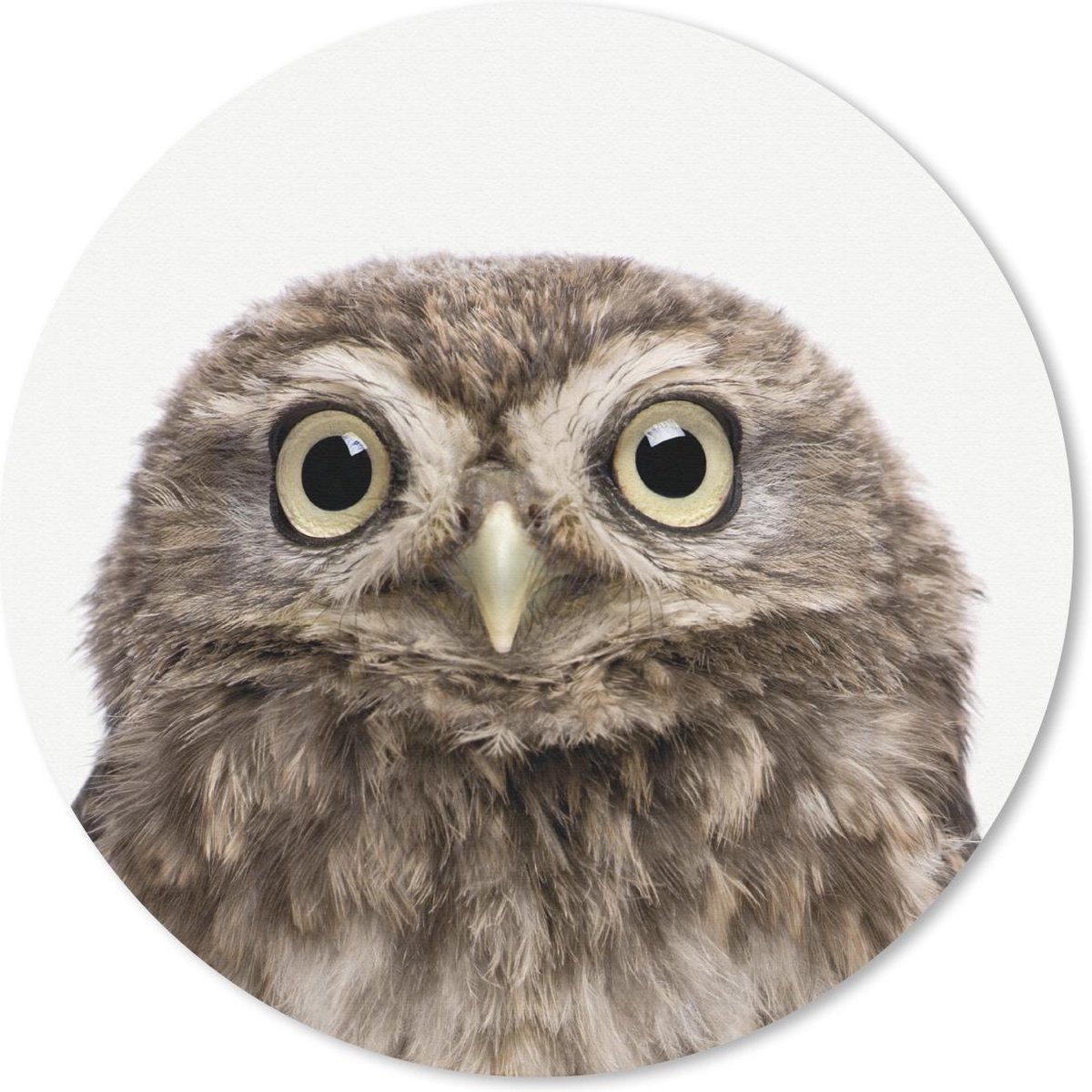 Muismat rond 30x30 cm - Mousepad Dieren - Uil - Wit - Ronde muismatten
