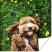 Poster Puppy ligt in het gras - 50x50 cm