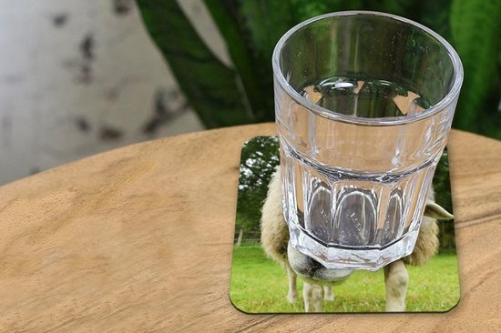 Sous- Sous-verres pour verres - Mouton - Drôle - Pâturage - 10x10 cm - 6 pièces
