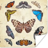 Poster Botanische print vlinders - 50x50 cm