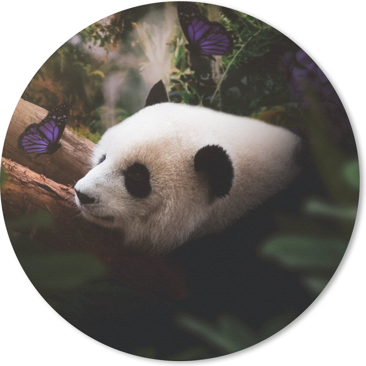 Muismat rond 20x20 cm - Mousepad Dieren - Jungle - Panda - Ronde muismatten