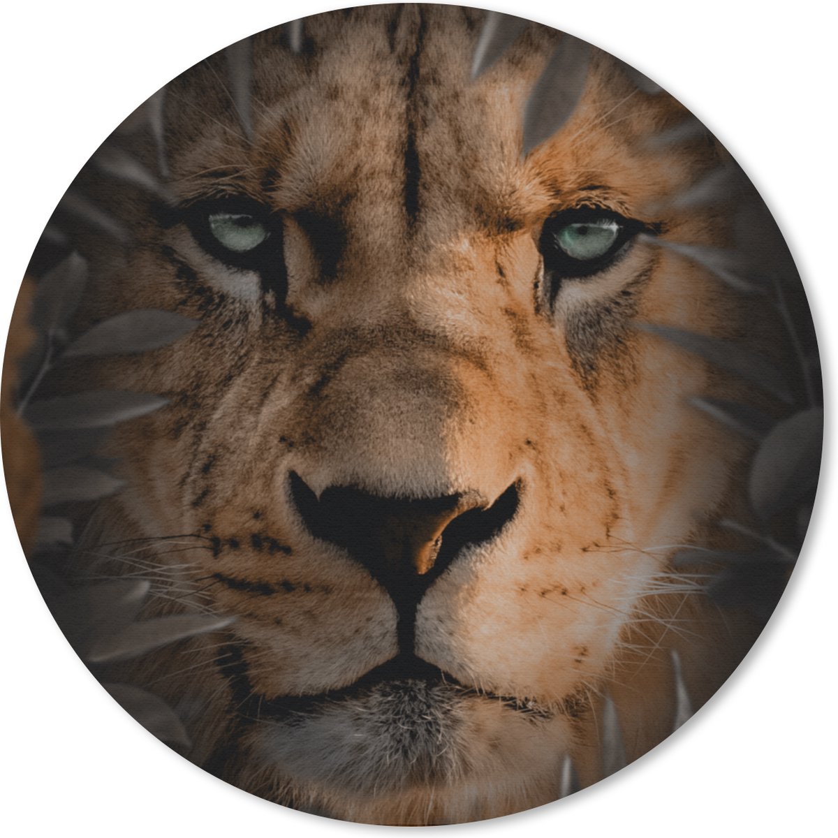 Muismat rond 30x30 cm - Mousepad Dieren - Leeuw - Natuur - Ronde muismatten