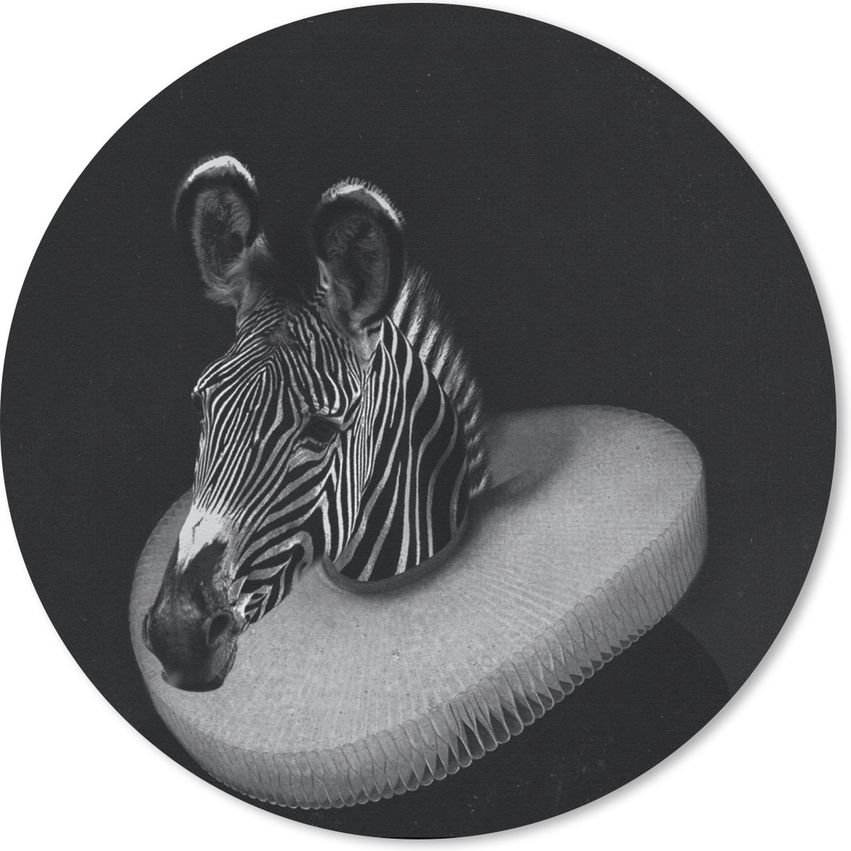 Muismat rond 20x20 cm - Mousepad Zebra - Schilderij - Zwart - Wit - Ronde muismatten