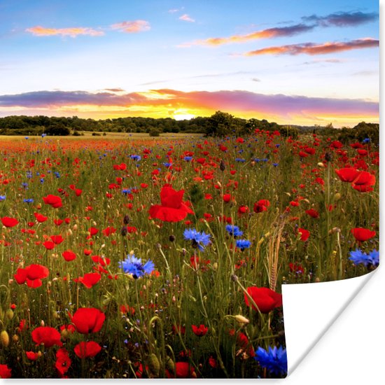 Affiche Prairie de Fleurs - Coquelicots - Rouge - 100x100 cm XXL