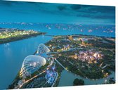 Luchtfoto van de supertrees in de tuinstad van Singapore - Foto op Dibond - 60 x 40 cm