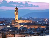 Uitzicht op Palazzo Vecchio en de stad Florence - Foto op Dibond - 90 x 60 cm